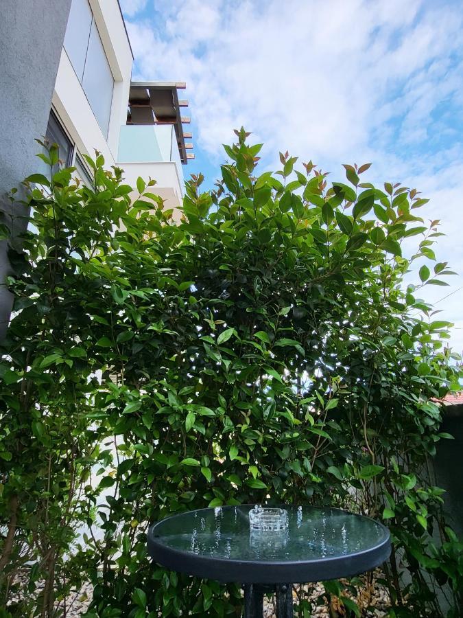 Rosemarie Beach Suites Zadar Exterior foto